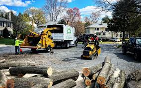 Palestine, IL Tree Removal and Landscaping Services Company